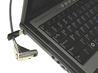 Guardian Economy laptop lock securing a laptop